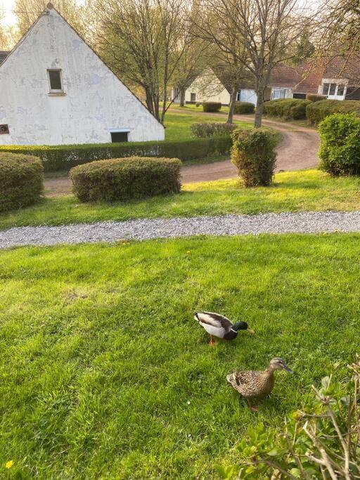 Le Nid Du Cygne Lägenhet Houlle Exteriör bild